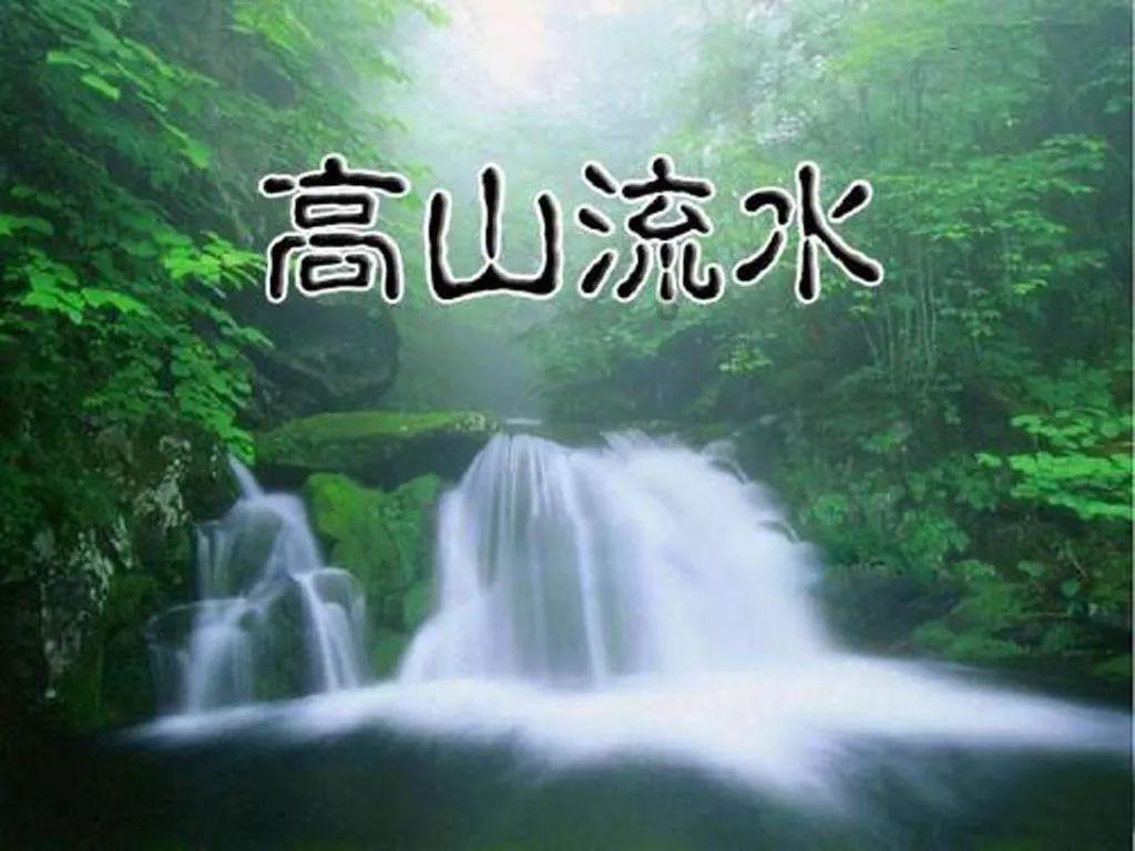 救援狗与猫