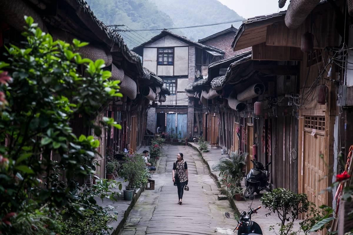 超能动物联盟